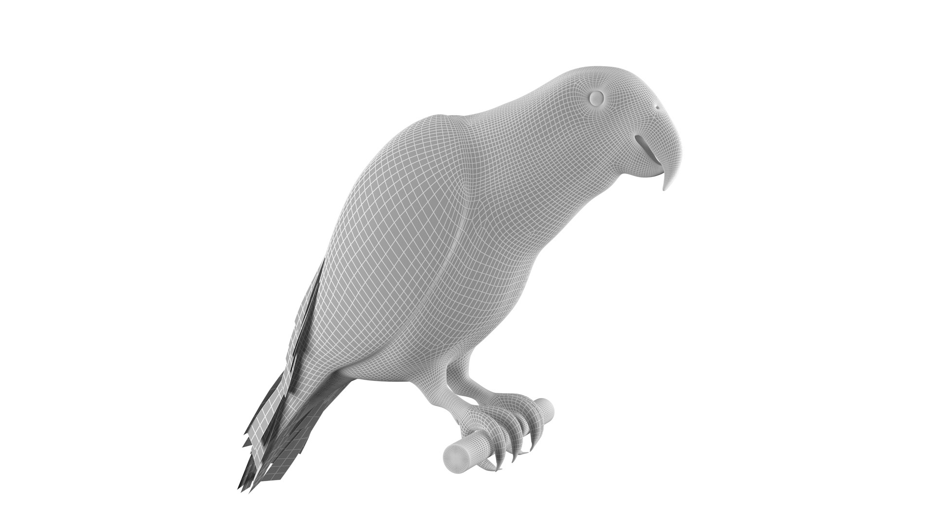 3D Parrot Model - TurboSquid 1955485