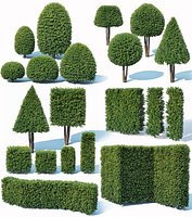 Taxus Baccata topiary Mega Collection 32 models