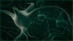 synapses neurons 3d model