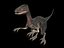 tc.dinosaur