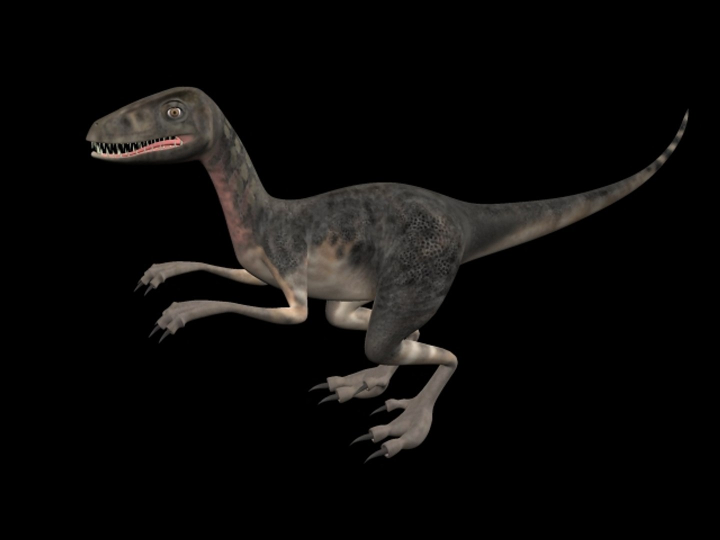 maya realistic dinosaur https://p.turbosquid.com/ts-thumb/e8/WHM2ky/uHDKHufi/04/jpeg/1292998433/1920x1080/fit_q87/191cd39e8b5b9a2d4bc2c13238e717162a3d423c/04.jpg