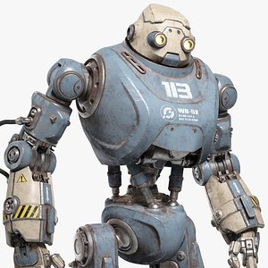 Robot 113 Rigged