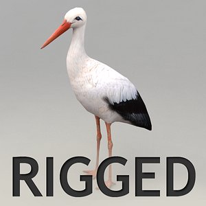 standing stork rigged 3d max
