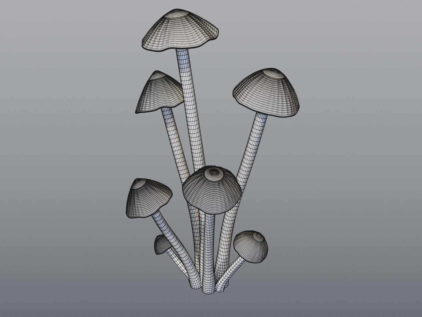 Glowing Mycena Bonnet Mushroom Cluster PBR 3D model https://p.turbosquid.com/ts-thumb/e8/uawWoI/Gu/10_glowbonnet_10_wire_clay/jpg/1791461764/1920x1080/fit_q87/c9bd1bdb3c73046d9567e9870df3e7fd2f234975/10_glowbonnet_10_wire_clay.jpg