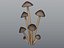 Glowing Mycena Bonnet Mushroom Cluster PBR