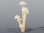Glowing Mycena Bonnet Mushroom Cluster PBR