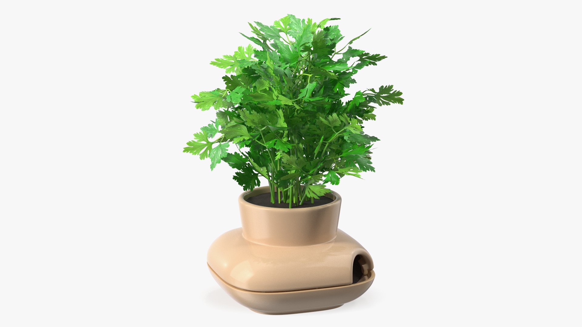 Parsley in Single Herb Pot Sagaform Beige 3D model preview