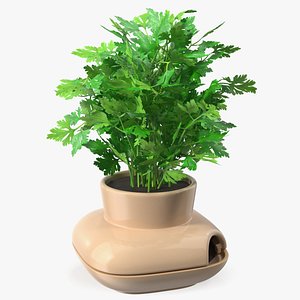 Parsley in Single Herb Pot Sagaform Beige