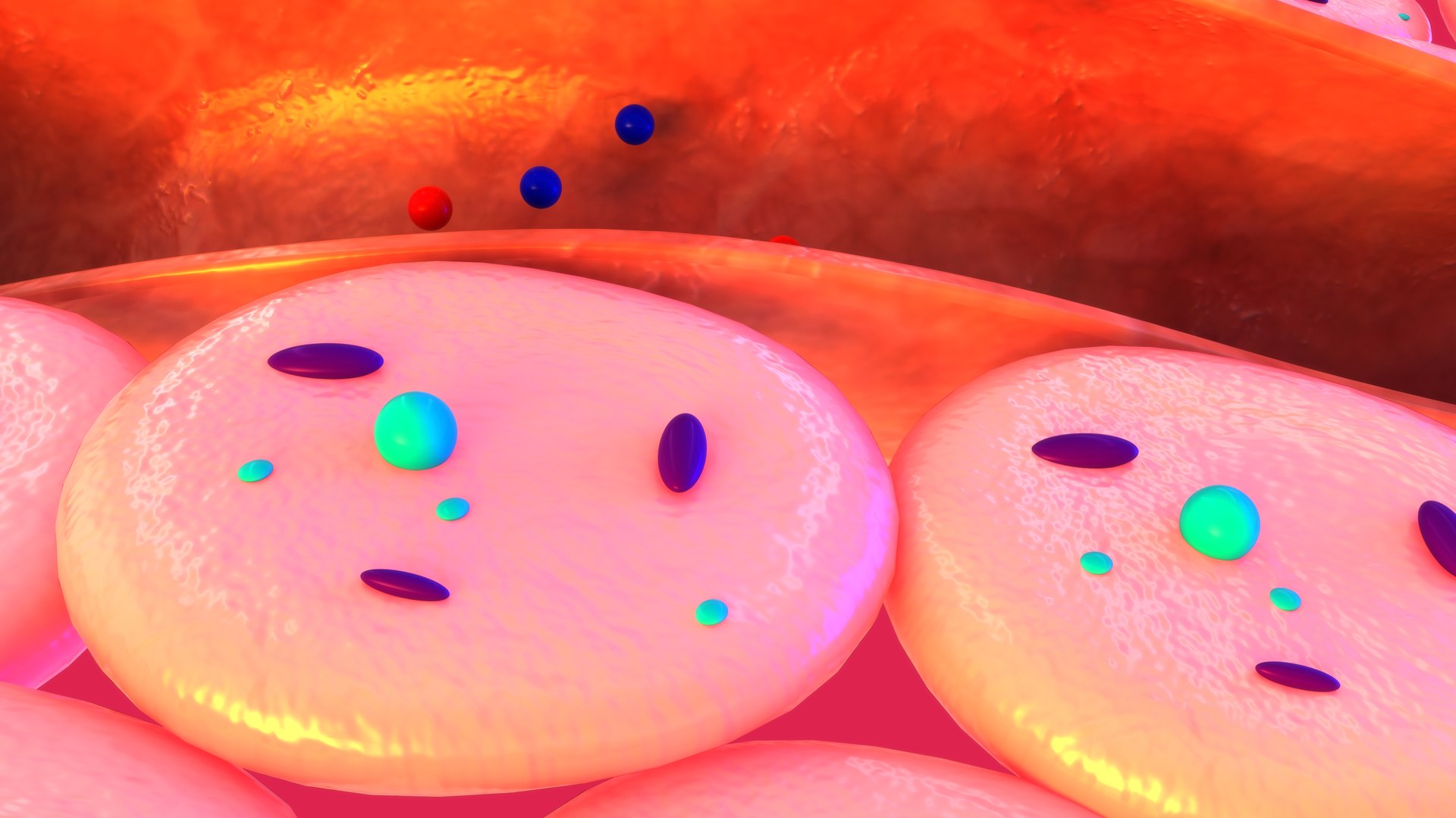 3D Gas Exchange Between The Blood And The Tissues - TurboSquid 2192289