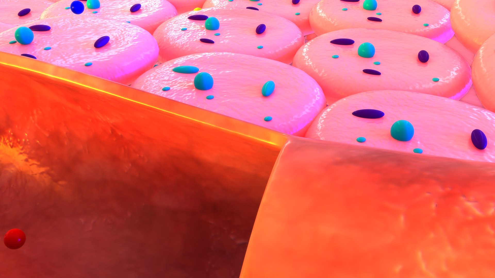 3D Gas Exchange Between The Blood And The Tissues - TurboSquid 2192289