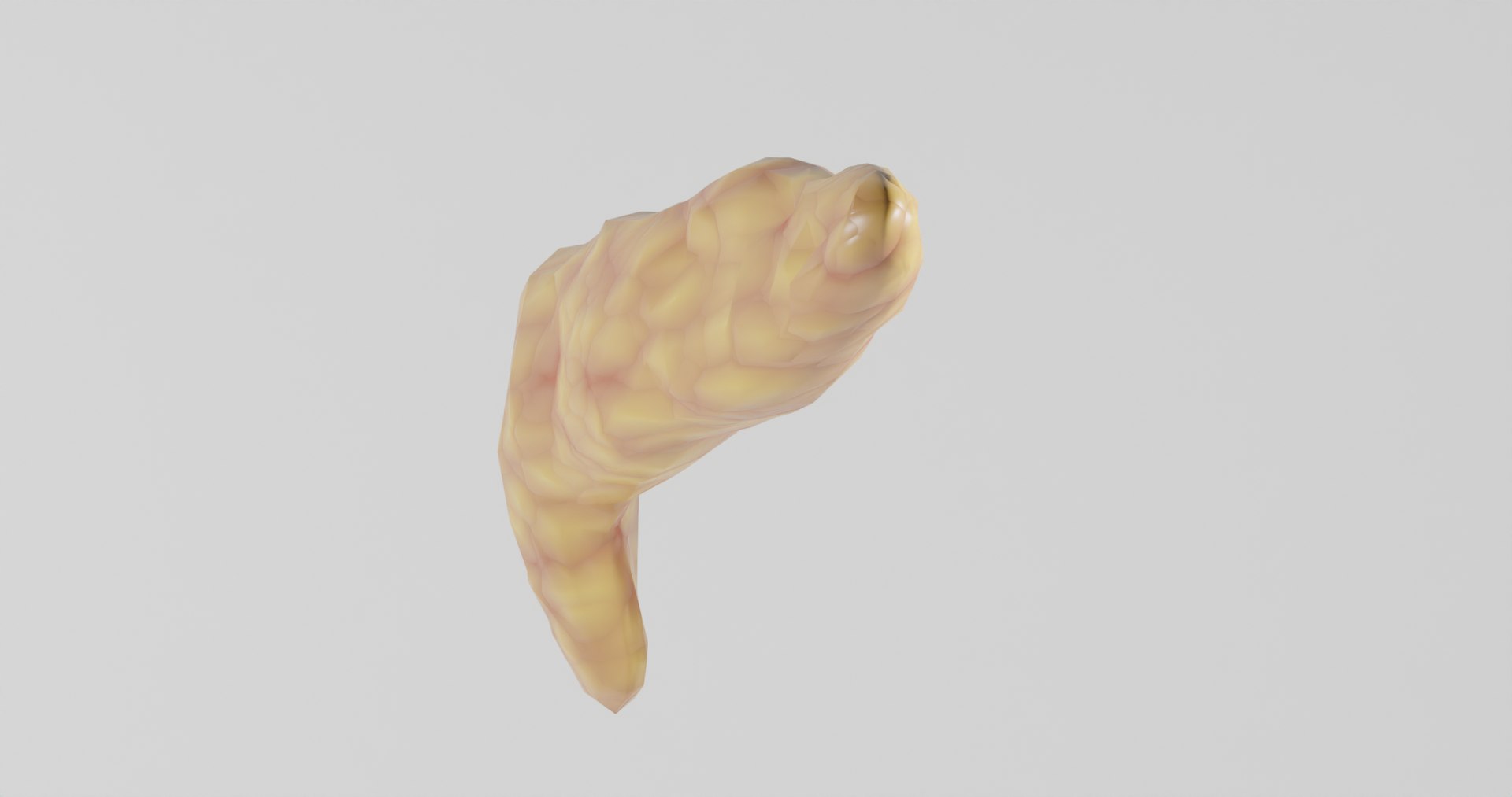 Pancreas1 Model - TurboSquid 2107659