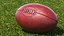 Collezione palloni da rugby 2