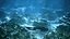 depths ocean 3D model