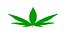 Cannabis Leaf