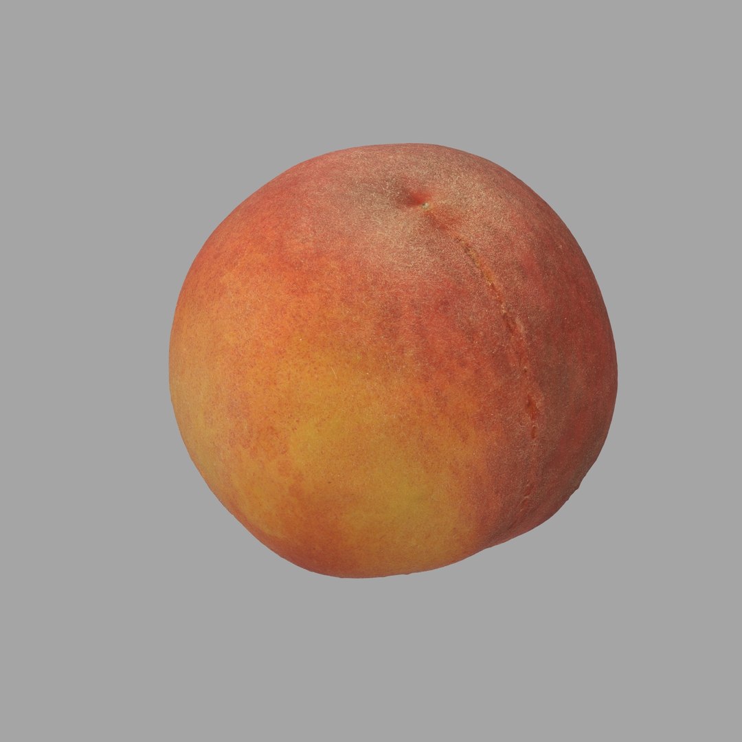 scan model https://p.turbosquid.com/ts-thumb/e9/jLUkKD/0sMwew33/208/jpg/1510947296/1920x1080/fit_q87/914dbf902d2a95a4d056ffe67d70da8c208360ae/208.jpg