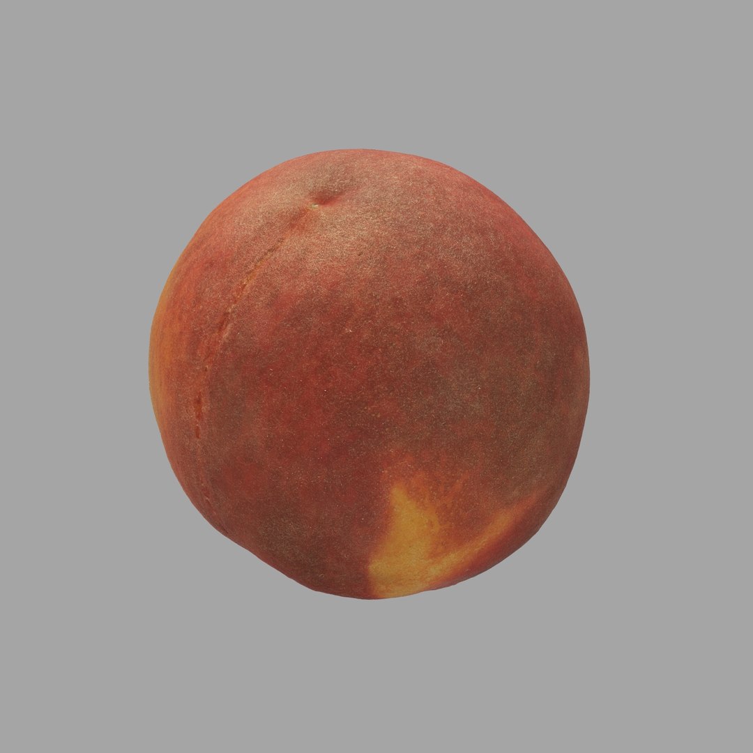 scan model https://p.turbosquid.com/ts-thumb/e9/jLUkKD/1dO2Th6I/205/jpg/1510947296/1920x1080/fit_q87/24ac626ee9a53e0bcd0978ac21d8eb739d3c6f4b/205.jpg