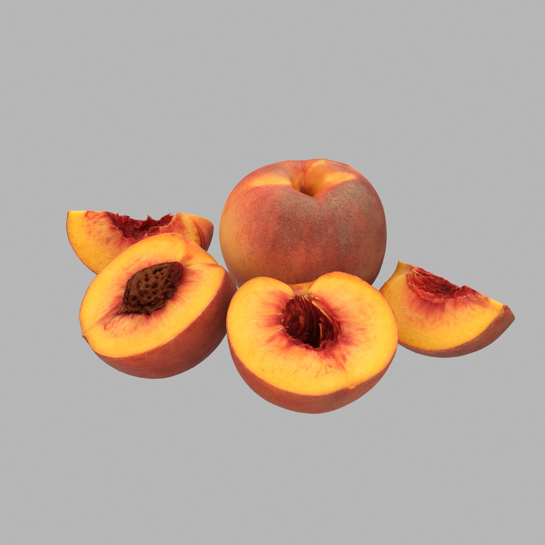 scan model https://p.turbosquid.com/ts-thumb/e9/jLUkKD/50MGw42S/360/jpg/1510947281/1920x1080/turn_fit_q99/ed7789f61ccff5587483416ccd7e09ac43562714/360-1.jpg