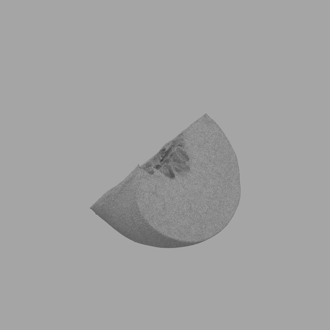scan model https://p.turbosquid.com/ts-thumb/e9/jLUkKD/832vTlz6/511/jpg/1510947350/1920x1080/fit_q87/9513248c9cd7ccc111d30ccd787e1cd6e410229d/511.jpg