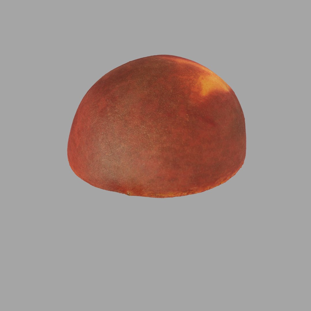 scan model https://p.turbosquid.com/ts-thumb/e9/jLUkKD/9S5YuyB8/307/jpg/1510947296/1920x1080/fit_q87/34c84dd6f9f4c437b2912528080370d2745384b0/307.jpg