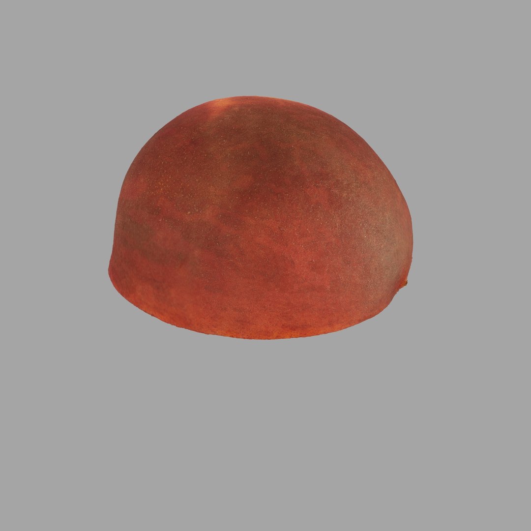scan model https://p.turbosquid.com/ts-thumb/e9/jLUkKD/CRseC9oI/306/jpg/1510947296/1920x1080/fit_q87/0837e8f3158356868e7e6f855c50057df5fc3873/306.jpg
