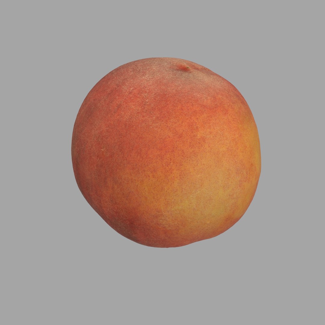 scan model https://p.turbosquid.com/ts-thumb/e9/jLUkKD/G3YqBpmK/207/jpg/1510947296/1920x1080/fit_q87/d61b0448f1d35070508bb86856948941cda4725f/207.jpg