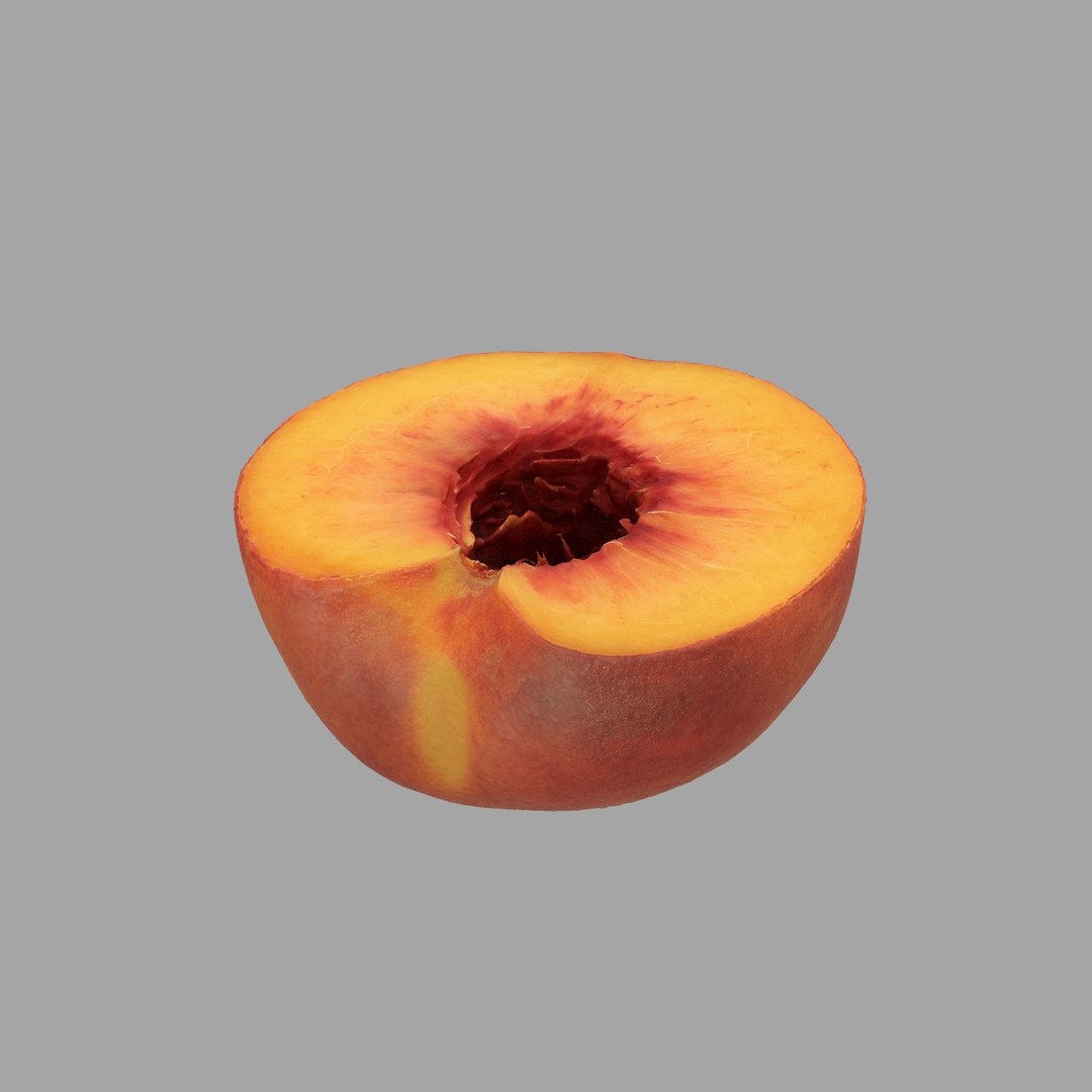 scan model https://p.turbosquid.com/ts-thumb/e9/jLUkKD/QygLsILO/403/jpg/1510947350/1920x1080/fit_q87/8db46f9a184b43765ce22b23dc360a94b6df520a/403.jpg
