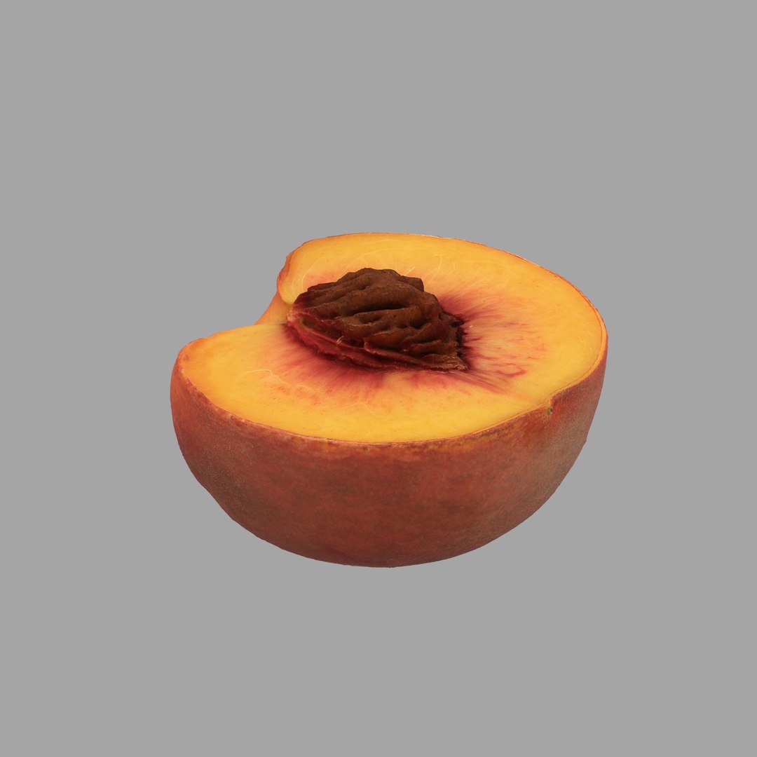 scan model https://p.turbosquid.com/ts-thumb/e9/jLUkKD/SOyg0Q8A/304/jpg/1510947296/1920x1080/fit_q87/03b2ec9207bfa05b11e2fac1e599d52260aa7ba4/304.jpg