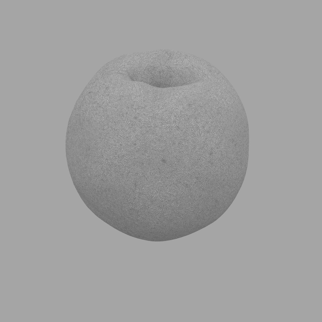 scan model https://p.turbosquid.com/ts-thumb/e9/jLUkKD/UdL4TGFh/212/jpg/1510947296/1920x1080/fit_q87/6bc28e8280548062b855efe256d235b1531e0f2d/212.jpg