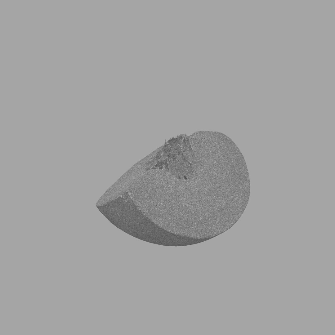 scan model https://p.turbosquid.com/ts-thumb/e9/jLUkKD/XvenS9o5/609/jpg/1510947350/1920x1080/fit_q87/97792a9d471e7eec119163c3f1812c6e79013958/609.jpg