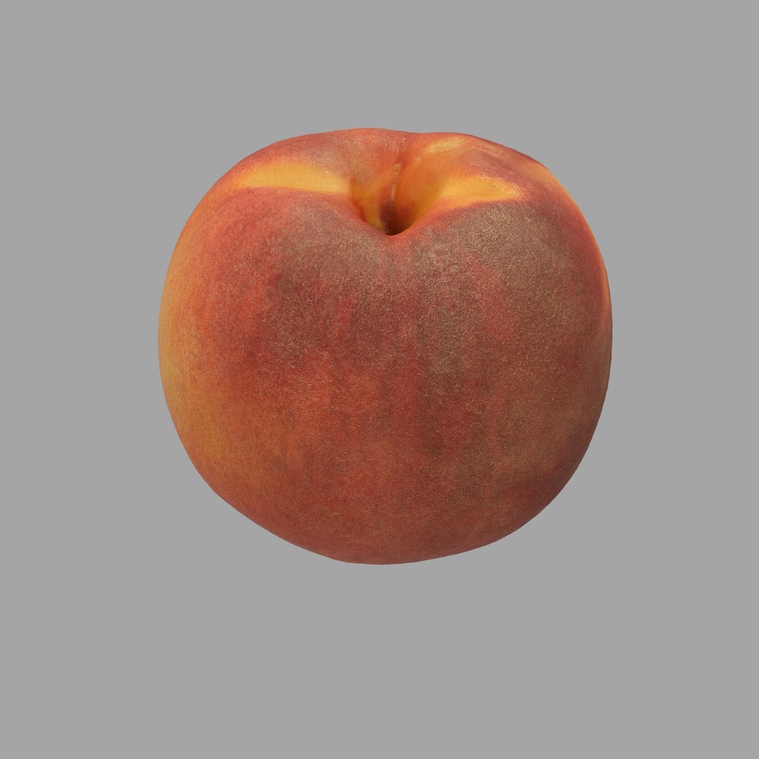 scan model https://p.turbosquid.com/ts-thumb/e9/jLUkKD/YIrP1lhB/201/jpg/1510947296/1920x1080/fit_q87/eb6e84cb77005708b7a1a87449cbd306d2152e39/201.jpg
