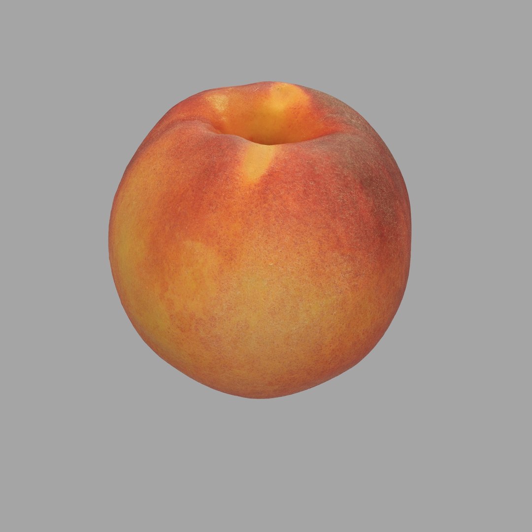 scan model https://p.turbosquid.com/ts-thumb/e9/jLUkKD/bNAdJU9n/204/jpg/1510947296/1920x1080/fit_q87/8611f2ba9177c2faa0f72e546fddd12adb922e96/204.jpg