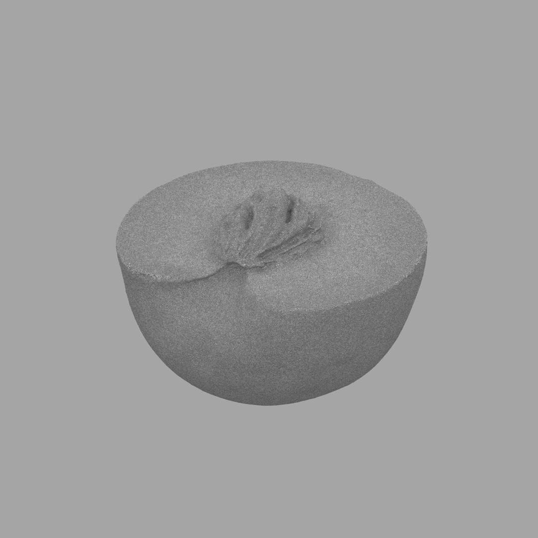 scan model https://p.turbosquid.com/ts-thumb/e9/jLUkKD/byFoI8vr/311/jpg/1510947296/1920x1080/fit_q87/9508c815d05af645e0403f922de1fd6f00fc7ffa/311.jpg
