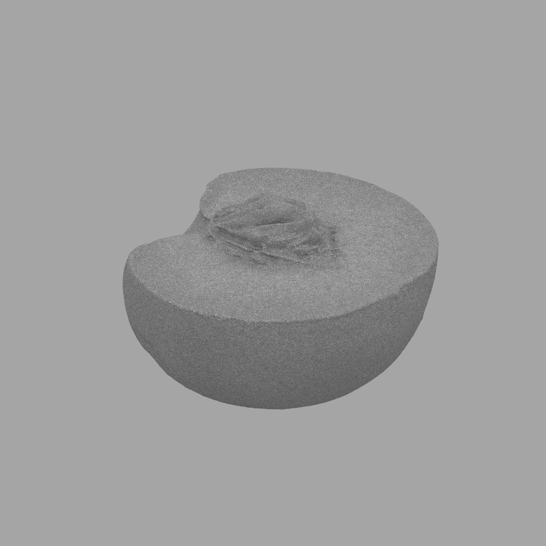 scan model https://p.turbosquid.com/ts-thumb/e9/jLUkKD/eIYcKJZb/312/jpg/1510947296/1920x1080/fit_q87/efca8355f861fff98fbceb8888cba54fa9886519/312.jpg