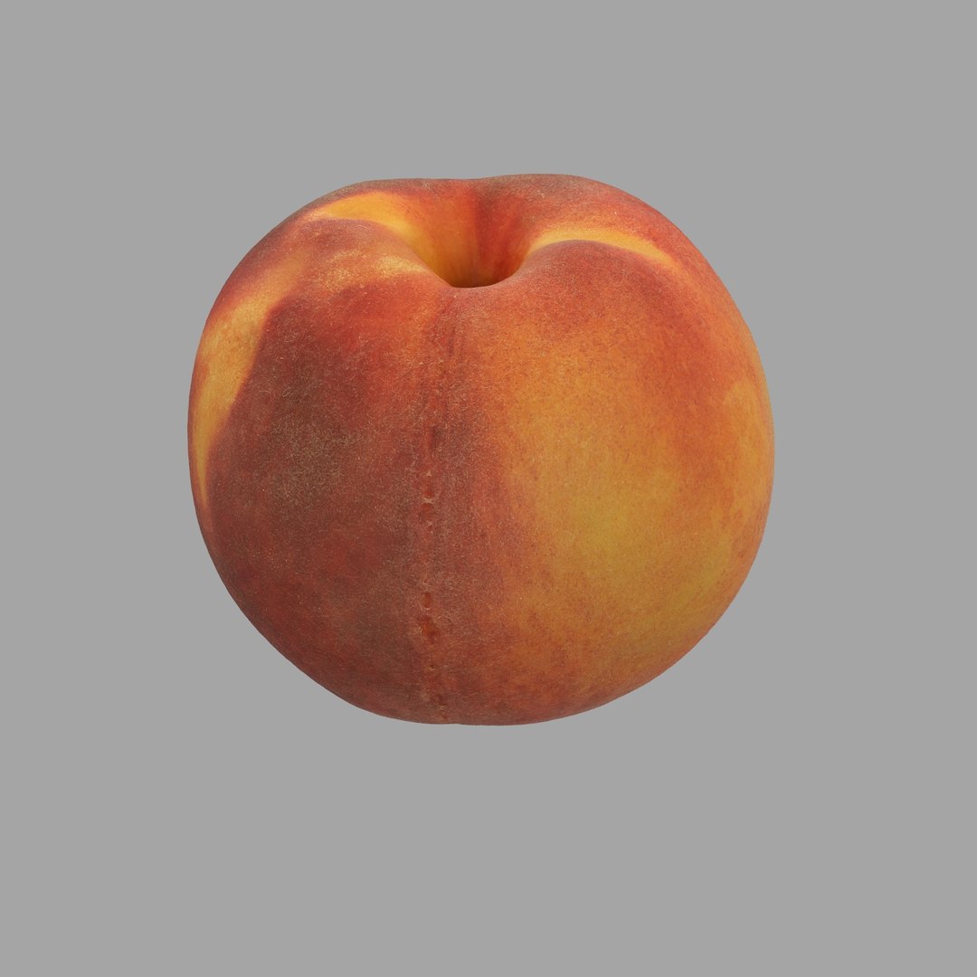 scan model https://p.turbosquid.com/ts-thumb/e9/jLUkKD/iKURwlsg/203/jpg/1510947296/1920x1080/fit_q87/844a141c324bace26a2e49609c34fd0f988beeb3/203.jpg