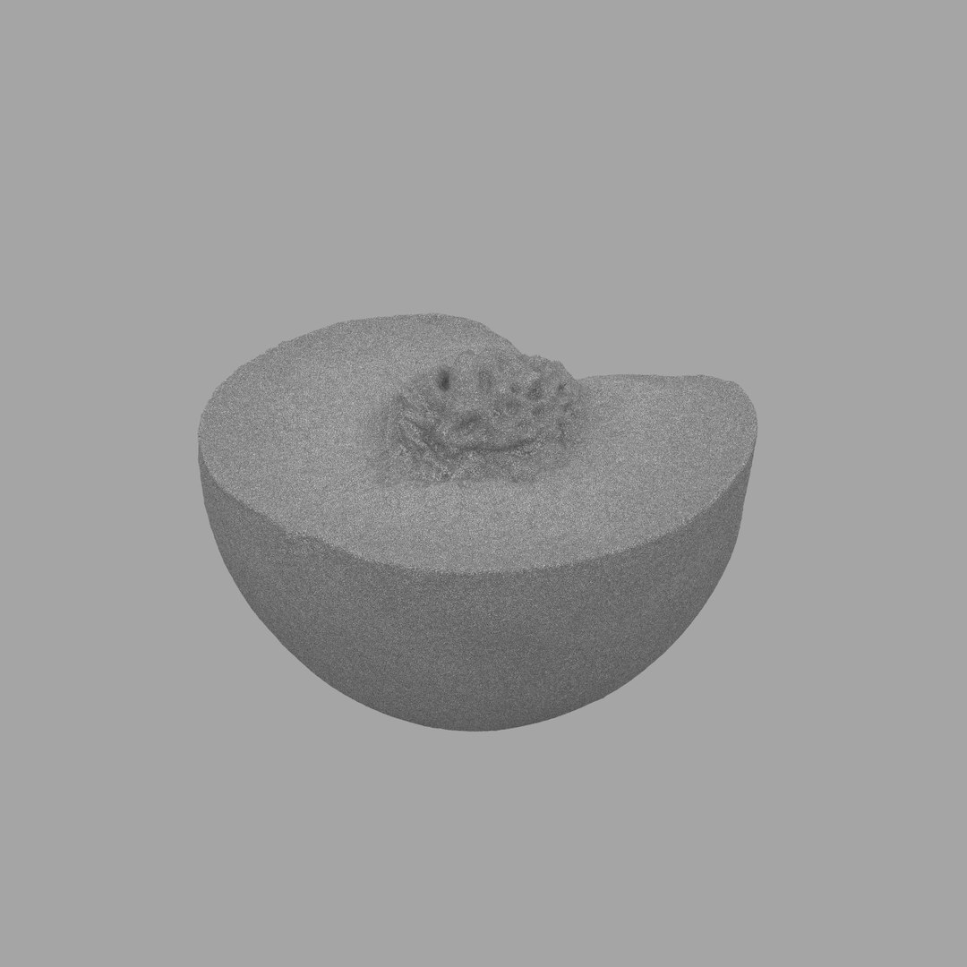 scan model https://p.turbosquid.com/ts-thumb/e9/jLUkKD/jbmvJovR/309/jpg/1510947296/1920x1080/fit_q87/d610bf781a91c863e831e0c09c18d553ece29166/309.jpg