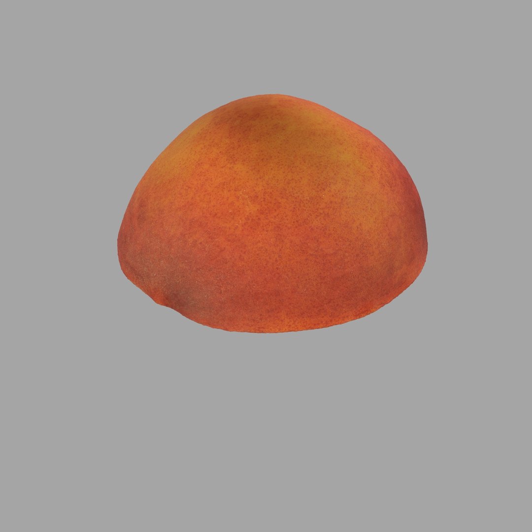 scan model https://p.turbosquid.com/ts-thumb/e9/jLUkKD/sQ0lyD7h/407/jpg/1510947350/1920x1080/fit_q87/0ab648456a2888ed95d794cf20413d583a210d74/407.jpg
