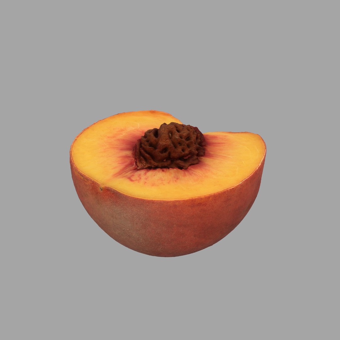 scan model https://p.turbosquid.com/ts-thumb/e9/jLUkKD/vOSWVJEf/301/jpg/1510947296/1920x1080/fit_q87/afd436b1529fa4d83b6f0d37fd757e007be6ed43/301.jpg