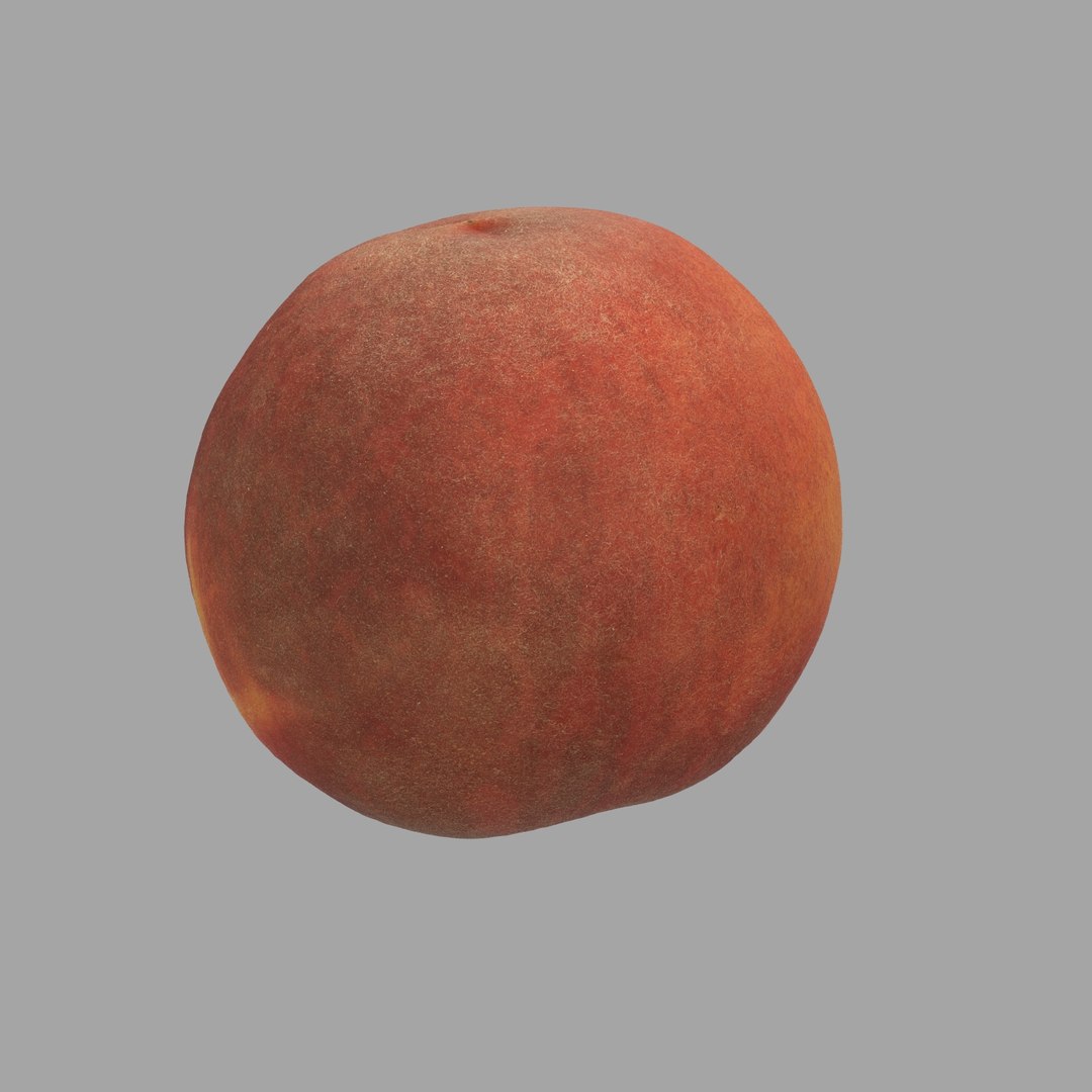 scan model https://p.turbosquid.com/ts-thumb/e9/jLUkKD/wQbiahDZ/206/jpg/1510947296/1920x1080/fit_q87/39b7063476b490437a7b4d474d7db9205573b5cf/206.jpg