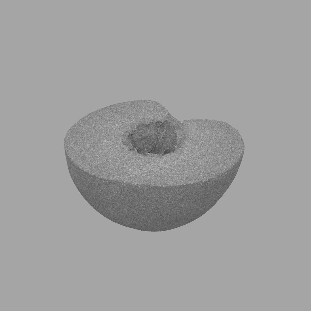 scan model https://p.turbosquid.com/ts-thumb/e9/jLUkKD/xVDY4JD2/409/jpg/1510947350/1920x1080/fit_q87/c4d7c5d8b68a7fe1422e9d999bc6b7cecffee7cd/409.jpg