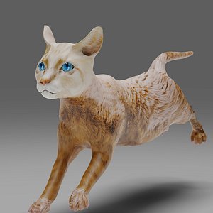 Cat White Rigged and Animated 3D model