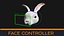 Rabbit head