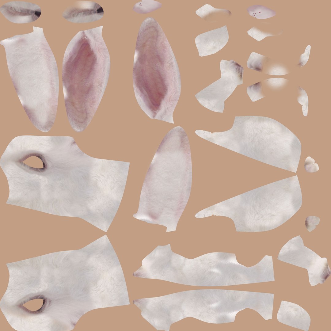 3D rabbit head https://p.turbosquid.com/ts-thumb/e9/oIOPS0/Ec72wVNI/12/png/1594854071/1920x1080/fit_q87/785dec96fda81993116851c4f8f83c6d444d8576/12.jpg