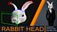 Rabbit head