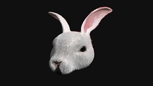3D rabbit head