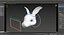 Rabbit head