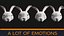 Rabbit head
