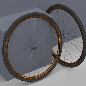 3D Bicycle Rim With Tire Off-road 3D model