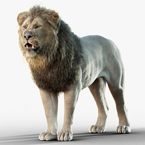 3D Lion 2025 RIG Xgen-Core model