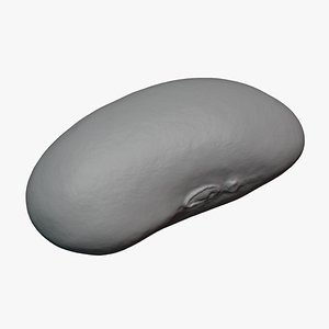 3D Red Kidney Bean 01 - For 3D Print