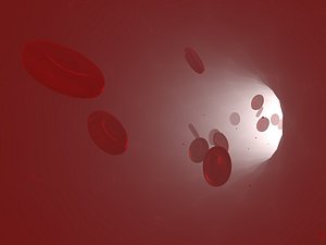 blood flow cells model